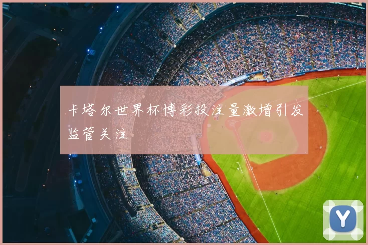 卡塔尔世界杯博彩投注量激增引发监管关注