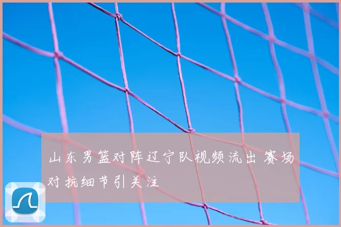 山东男篮对阵辽宁队视频流出 赛场对抗细节引关注