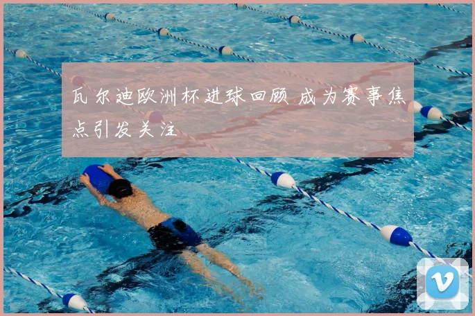 瓦尔迪欧洲杯进球回顾 成为赛事焦点引发关注
