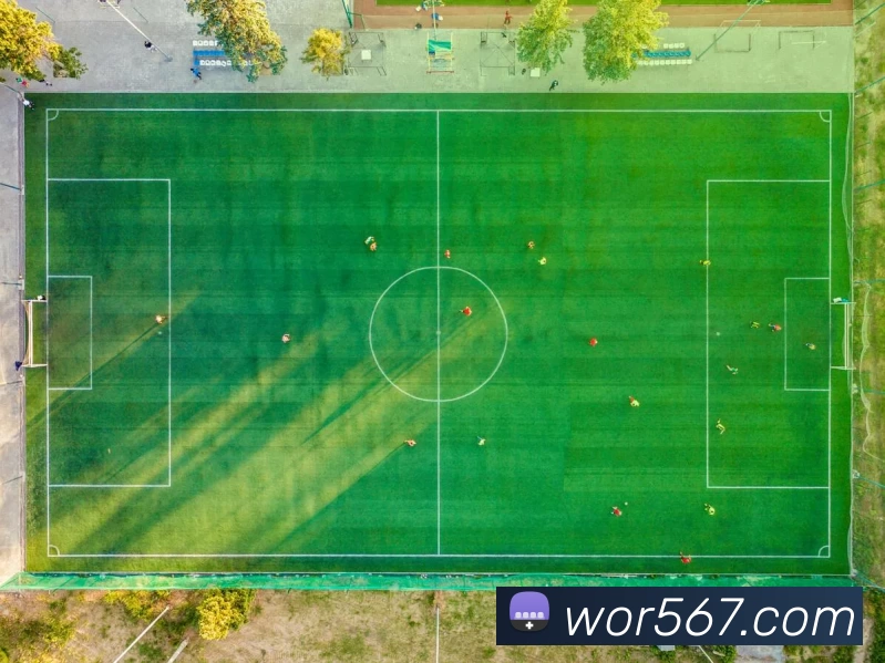 多媒体互动体验